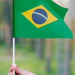 Voz do Brasil